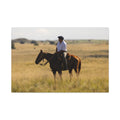 Morning on the Estancia