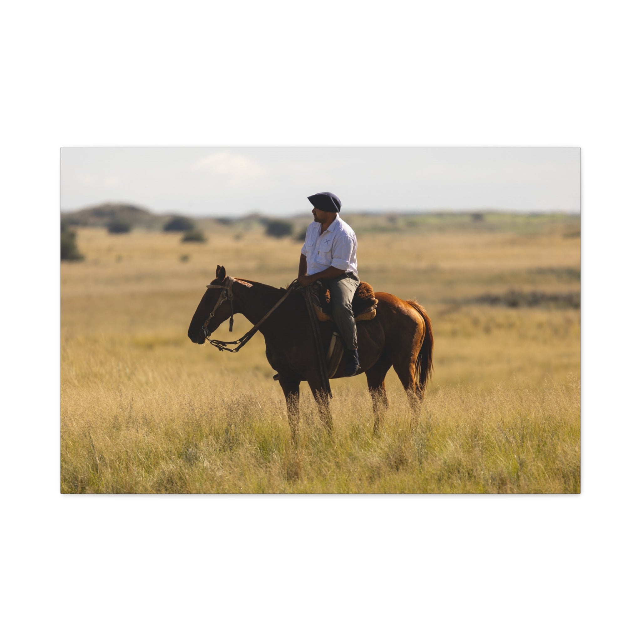Morning on the Estancia