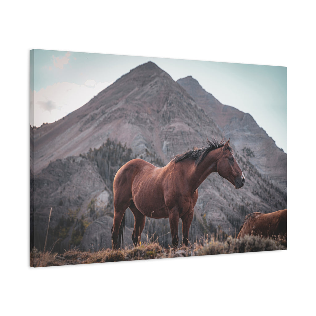 The High Country