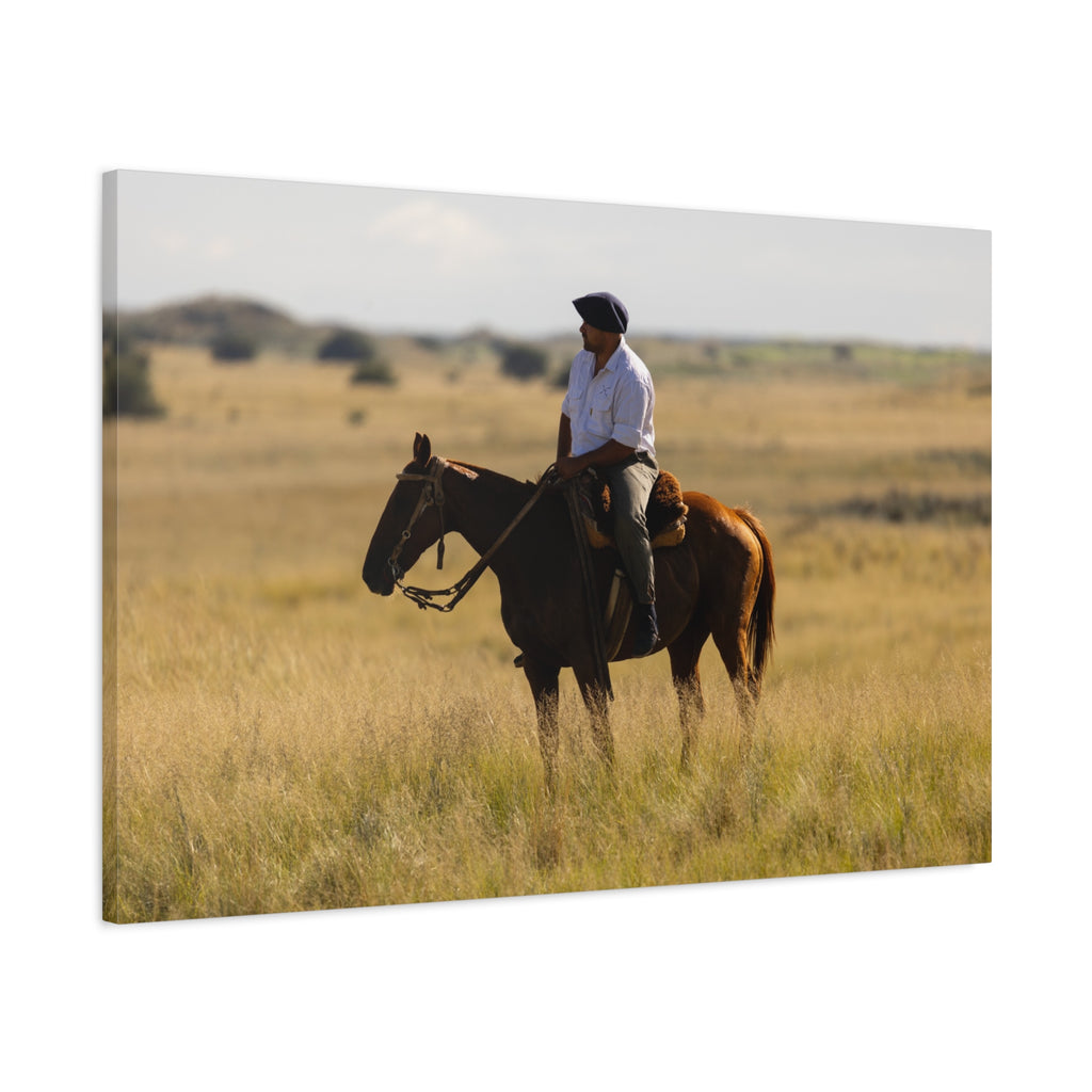 Morning on the Estancia