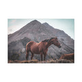 The High Country